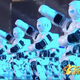 Illustration for article titled Celebrate Chinese New Year with 540 dancing robots